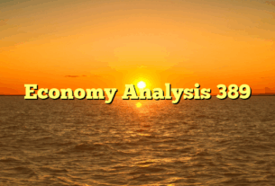 Economy Analysis 389