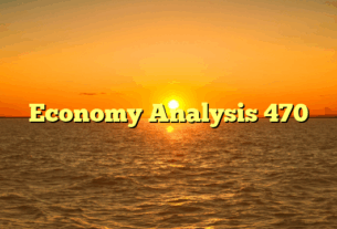 Economy Analysis 470