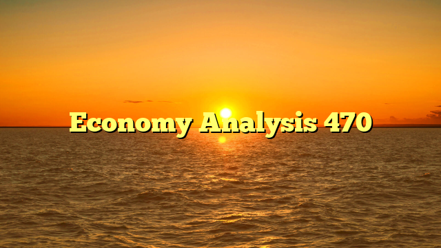 Economy Analysis 470