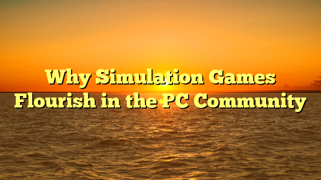 Why Simulation Games Flourish in the PC Community